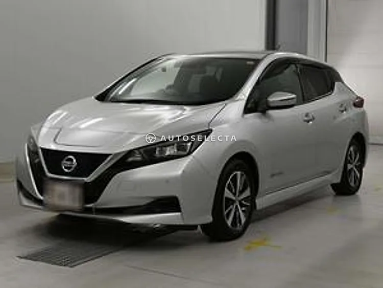 Nissan Leaf 2019, photo 1 of 1