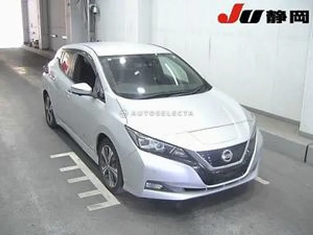 Nissan Leaf 2019, auction grade 4