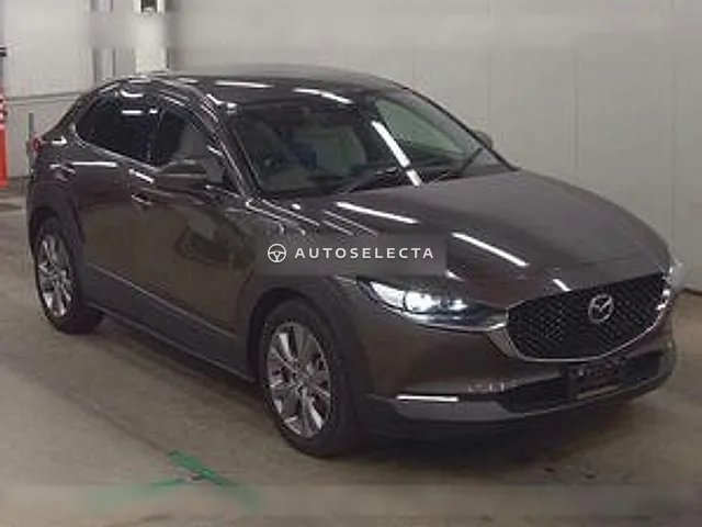 Mazda CX-30 2019, auction grade 4.5