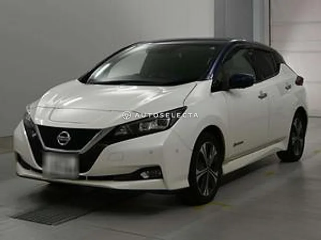 Nissan Leaf 2019, auction grade 4