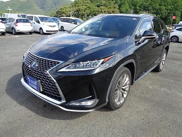 Lexus RX 2019, auction grade 4