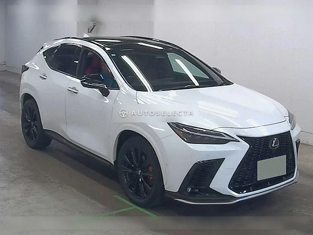 Lexus NX 2023, auction grade R
