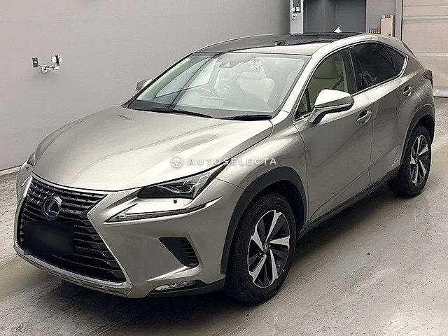 Lexus NX 2019, auction grade RA