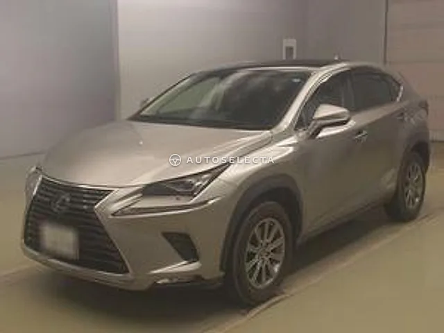 Lexus NX 2019, auction grade RA