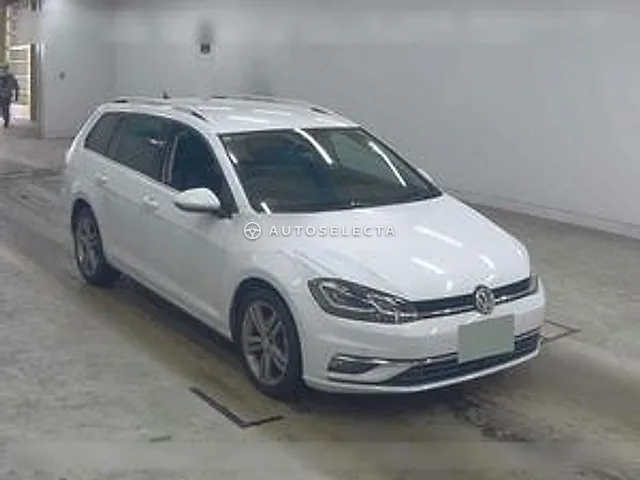 Volkswagen Golf Variant 2020, auction grade 4.5