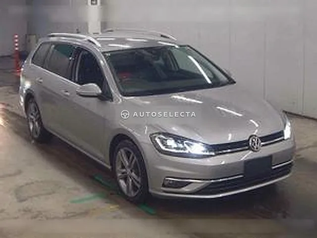 Volkswagen Golf Variant 2019, auction grade 4