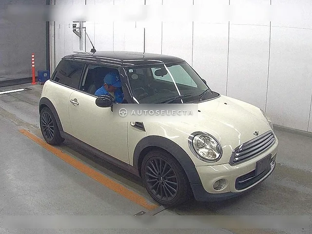 MINI 2011
