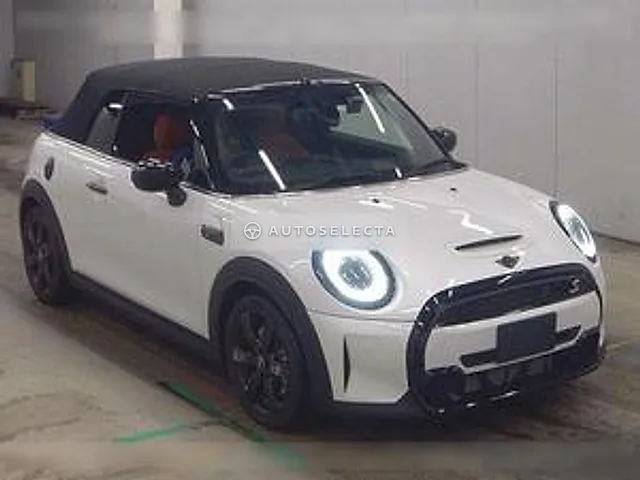 MINI OP 2023, auction grade 5