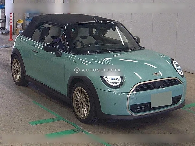MINI OP 2025, auction grade 5