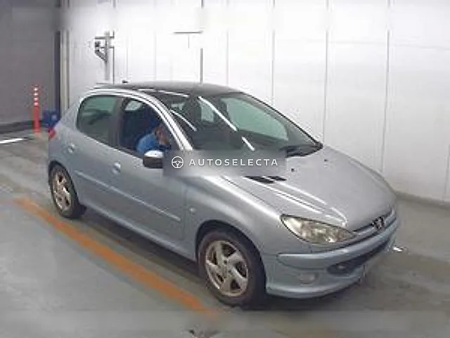 Peugeot 206 2005