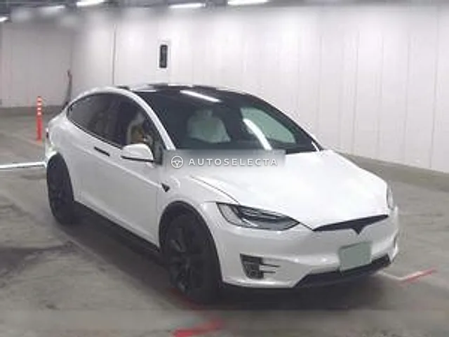 Tesla Model X 2020, auction grade 4.5