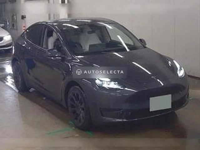 Tesla Model Y 2025, auction grade 4.5