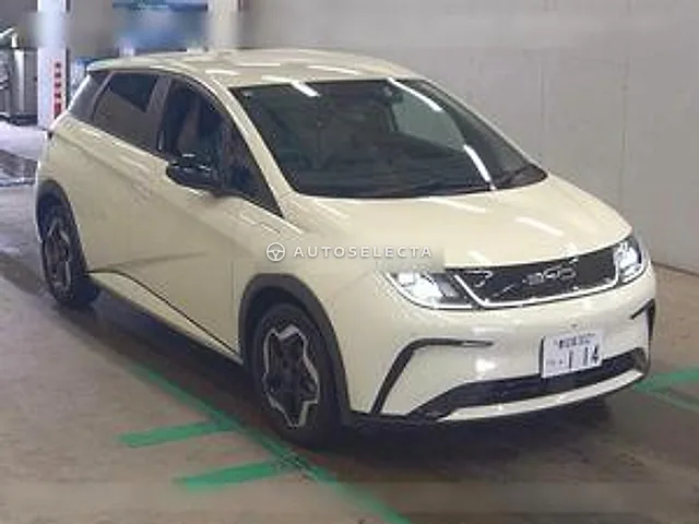BYD Dolphin 2025, auction grade 5