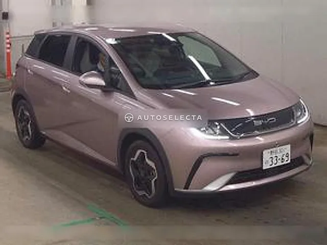 BYD Dolphin 2024, auction grade 3.5