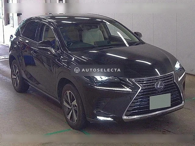 Lexus NX 2018, auction grade 4.5