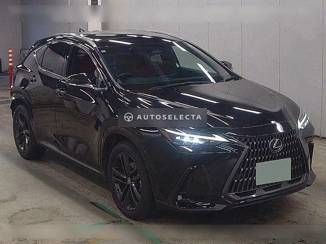 Lexus NX 2024, auction grade 5