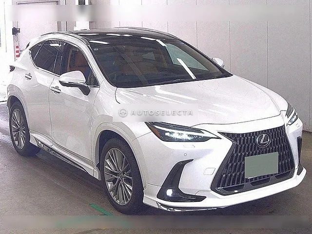 Lexus NX 2025, auction grade 5