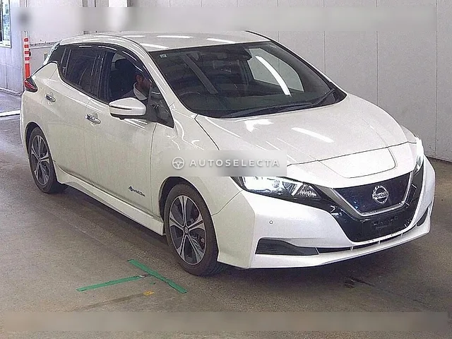 Nissan Leaf 2019, auction grade 4.5