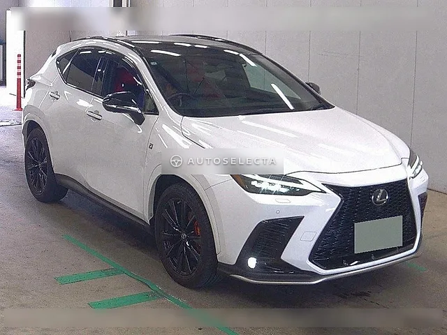 Lexus NX 2023, auction grade 4.5