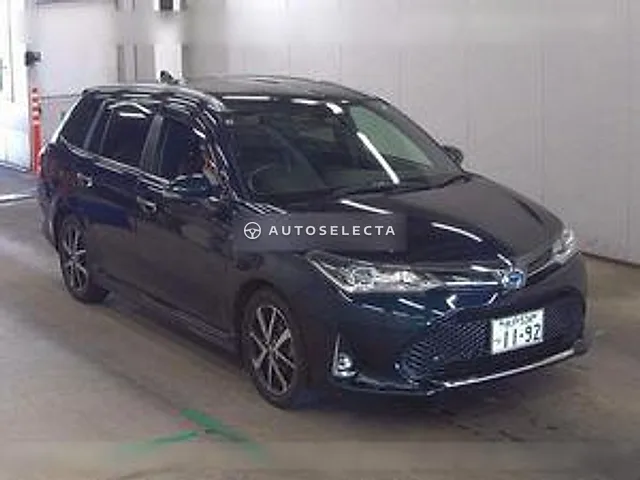 Toyota Corolla Fielder 2019, auction grade 3.5