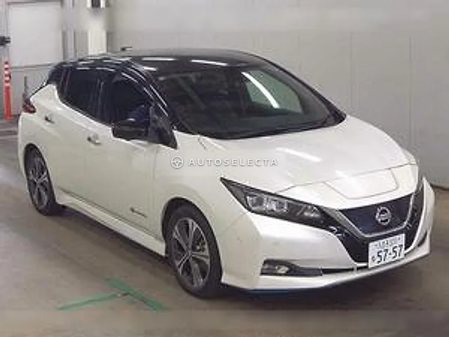 Nissan Leaf 2019, auction grade R