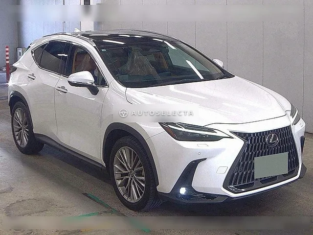 Lexus NX 2023, auction grade 4.5