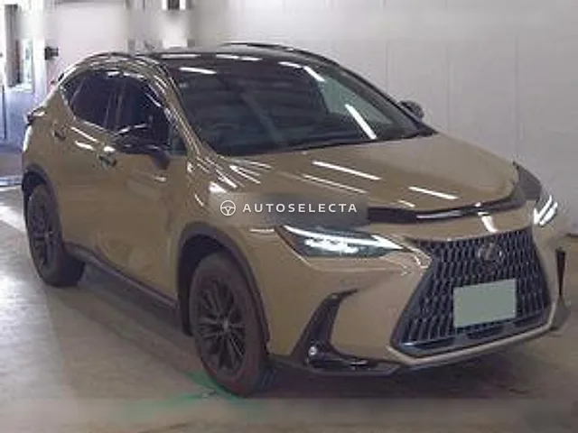 Lexus NX 2024, auction grade 5