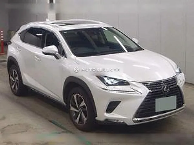 Lexus NX 2020, auction grade 4