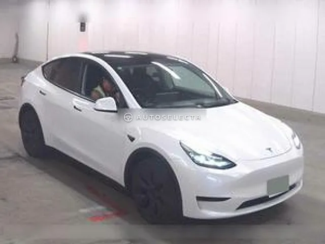Tesla Model Y 2024, auction grade 4.5