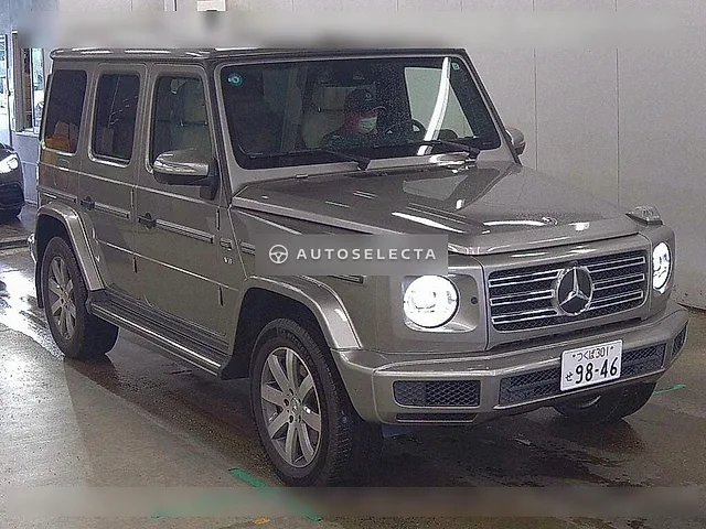 Mercedes-Benz G-Class 2019, auction grade 5
