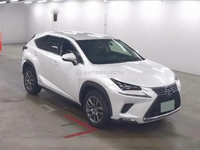 Lexus NX 2018, auction grade 4.5
