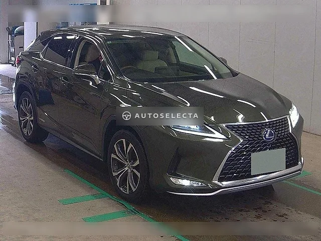 Lexus RX 2019, auction grade 4.5