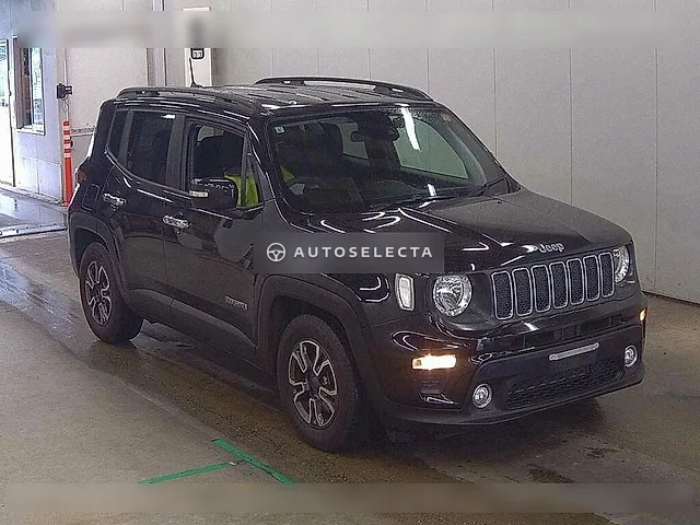 Jeep Renegade 2019, auction grade 4.5
