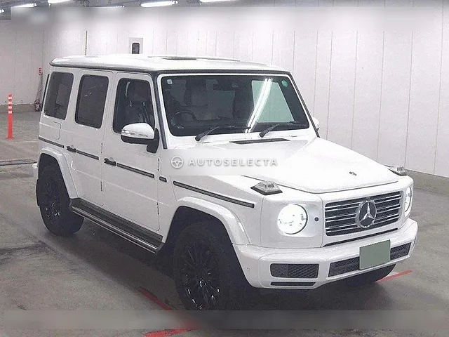Mercedes-Benz G-Class 2019, auction grade 4.5