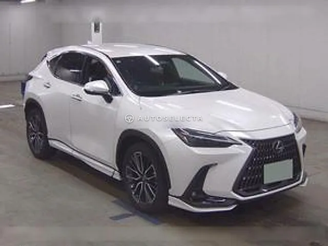 Lexus NX 2022, auction grade 4.5
