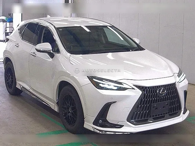 Lexus NX 2023, auction grade R