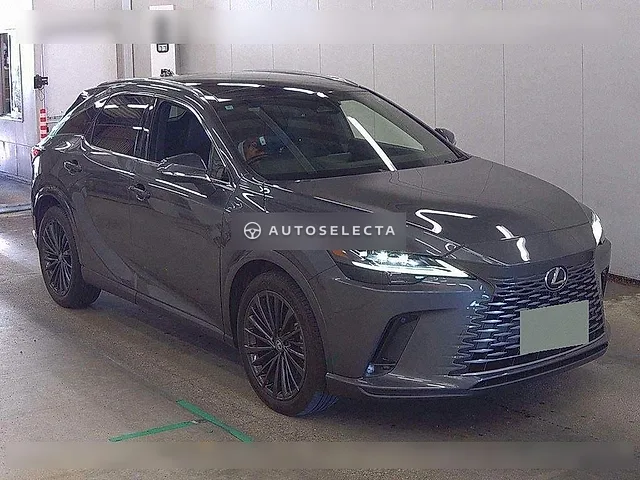 Lexus RX 2024, auction grade 4.5