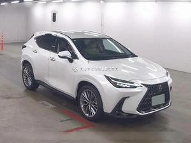 Lexus NX 2024, auction grade 5
