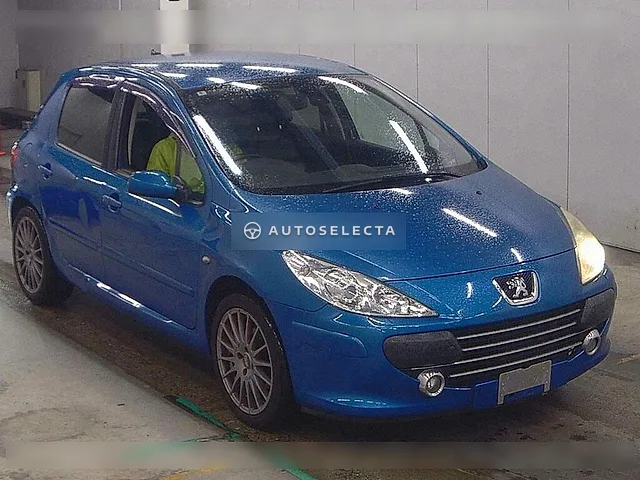 Peugeot 307 2008