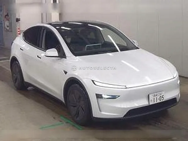 Tesla Model Y 2025, auction grade 4.5