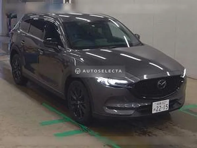 Mazda CX-8 2021, auction grade 4.5