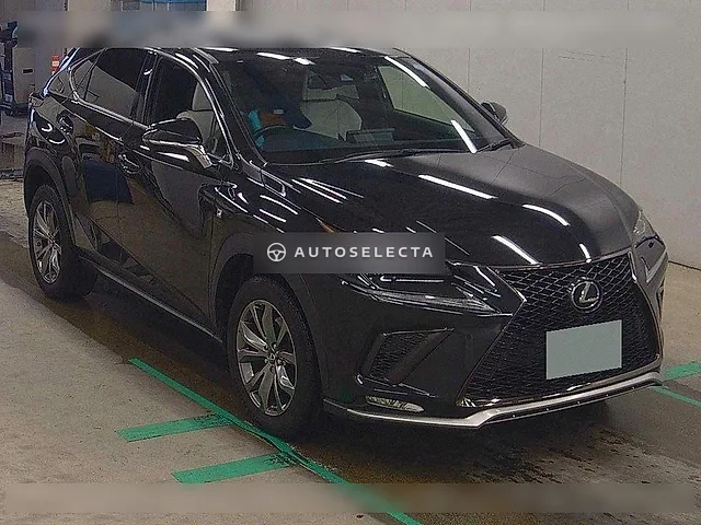 Lexus NX 2019, auction grade 4