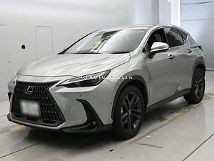 Lexus NX 2022, photo 1 of 1