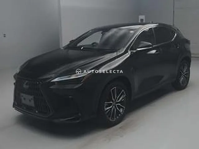 Lexus NX 2023, auction grade 4