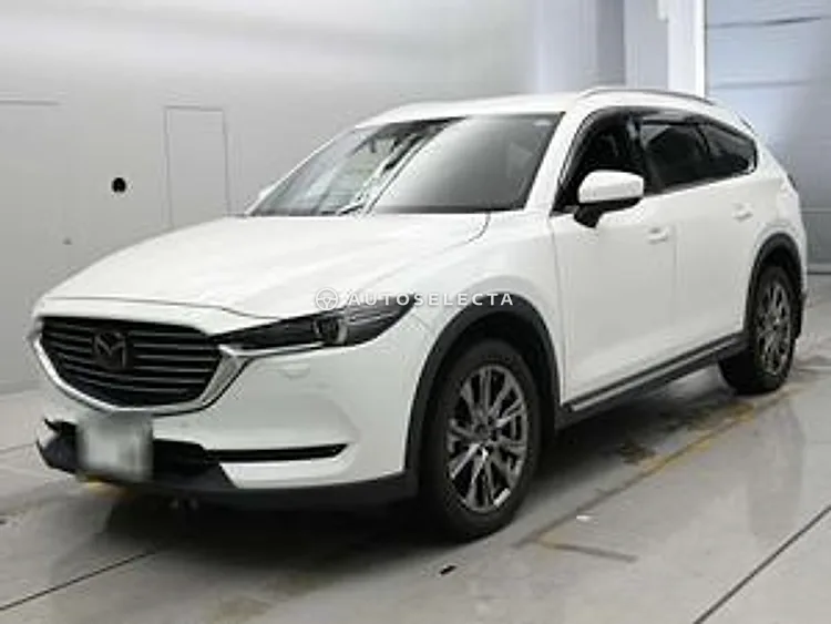 Mazda CX-8 2019, photo 1 of 1