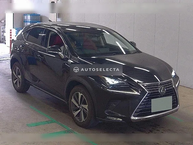 Lexus NX 2017, auction grade 4