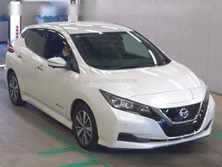 Nissan Leaf 2019, photo 1 of 1