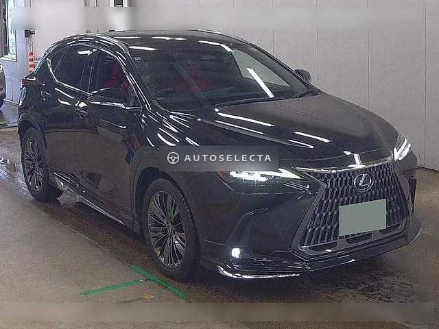 Lexus NX 2022, auction grade 4.5