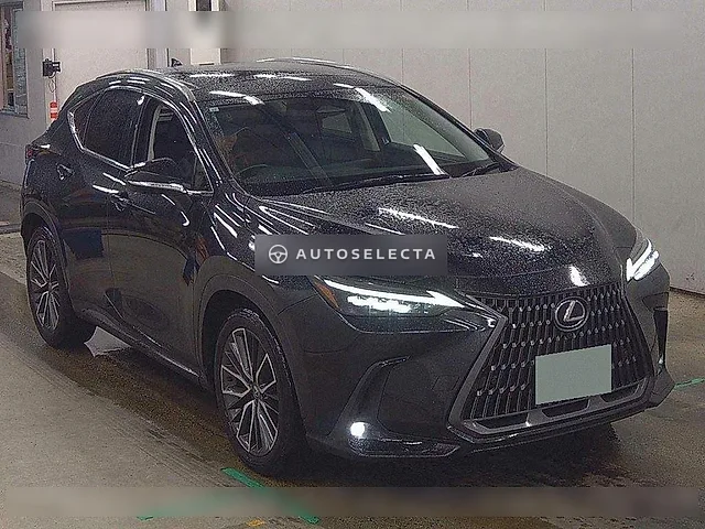 Lexus NX 2023, auction grade 4.5