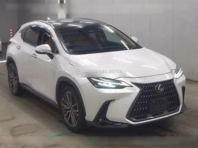Lexus NX 2023, auction grade 4.5